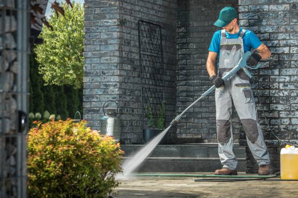 Best Roof Cleaning and Mildew Removal in Panorama Village, TX